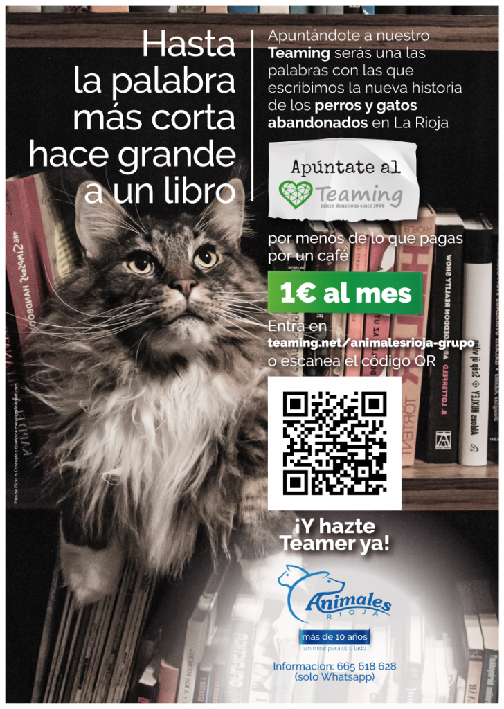 Concepto, diseño y redacción de textos de carteles para la captación de "Teamers" para la asociación Animales Rioja. Logroño, La Rioja. 2019.