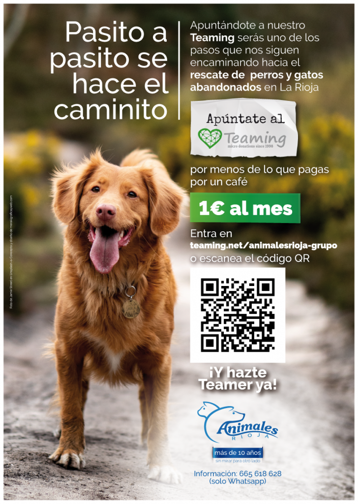 Concepto, diseño y redacción de textos de carteles para la captación de "Teamers" para la asociación Animales Rioja. Logroño, La Rioja. 2019.